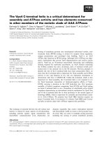 Báo cáo khoa học: The Vps4 C-terminal helix is a critical determinant for assembly and ATPase activity and has elements conserved in other members of the meiotic clade of AAA ATPases pdf
