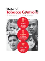STATE OF TOBACCO CONTROL 2013 docx