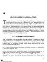 dielectrics in electric fields (12)