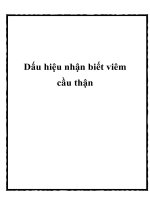 Dấu hiệu nhận biết viêm cầu thận pdf