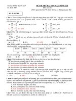 Trường THPT Quỳnh lưu 4 Mã đề thi:241 ĐỀ THI THỬ ĐẠI HỌC-CAO ĐẲNG lầnI Môn sinh học doc