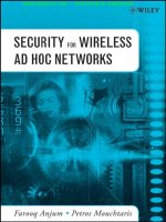 security for wireless ad hoc networks