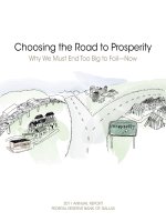 Choosing the Road to Prosperity Why We Must End Too Big to Fail—Now pdf