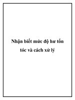 Nhận biết mức độ hư tổn tóc và cách xử lý docx