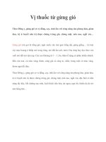 Vị thuốc từ gừng gió potx