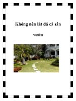 Không nên lát đá cả sân vườn pot