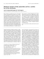 Báo cáo khóa học: Membrane transport of fatty acylcarnitine and free L-carnitine by rat liver microsomes pot