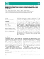 Báo cáo khoa học: Glucose oxidase prevents programmed cell death of the silkworm anterior silk gland through hydrogen peroxide production ppt