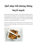 Quế nhục hồi dương thông huyết mạch pot
