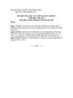 ĐỀ KIỂM TRA HỌC KỲ I MÔN LỊCH SỬ KHỐI 11 NĂM HỌC 2010- 2011 TRƯỜNG THPT KRÔNG NÔ pot