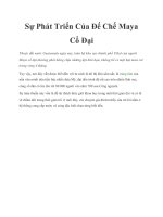 Sự Phát Triển Của Đế Chế Maya Cổ Đại pptx