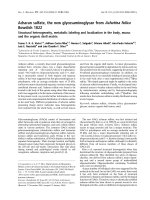 Báo cáo khóa học: Acharan sulfate, the new glycosaminoglycan fromAchatina fulica Bowdich 1822 Structural heterogeneity, metabolic labeling and localization in the body, mucus and the organic shell matrix docx