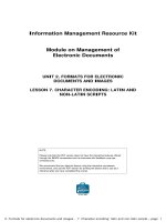 UNIT 2. FORMATS FOR ELECTRONIC DOCUMENTS AND IMAGES LESSON 7. CHARACTER ENCODING: LATIN AND NON-LATIN SCRIPTSNOTE pdf