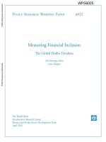 Measuring Financial Inclusion - The Global Findex Database docx
