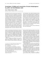 Báo cáo khoa học: Perturbation of folding and reassociation of lactate dehydrogenase by proline and trimethylamine oxide potx