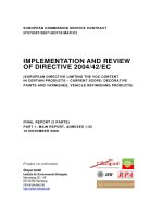 IMPLEMENTATION AND REVIEW OF DIRECTIVE 2004/42/EC pot