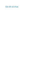 Gà xốt cà chua docx