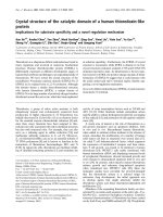 Báo cáo Y học: Crystal structure of the catalytic domain of a human thioredoxin-like protein pdf