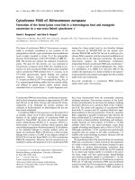Báo cáo khoa học: Cytochrome P460 of Nitrosomonas europaea Formation of the heme-lysine cross-link in a heterologous host and mutagenic conversion to a non-cross-linked cytochrome c ¢ pot