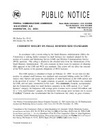 COMMENT SOUGHT ON SMALL BUSINESS SIZE STANDARDS pptx