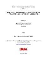 MORTALITY AND MORBIDITY BENEFITS OF AIR POLLUTION ABSORPTION BY WOODLAND: Forestry Commission potx