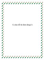 Ca dao đề tài đảm đang pot