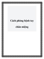 Cách phòng bệnh tay chân miệng pot