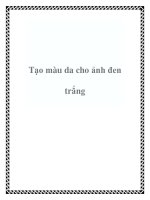 Tạo màu da cho ảnh đen trắng pot