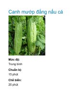 Canh mướp đắng nấu cá docx