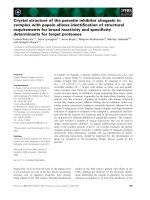 Báo cáo khoa học: Crystal structure of the parasite inhibitor chagasin in complex with papain allows identiﬁcation of structural requirements for broad reactivity and speciﬁcity determinants for target proteases pptx