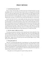 Phân tích tình hình tài chính tại Công ty TNHH Hương Liệu Thực Phẩm Việt Nam