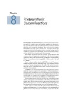 Plant physiology - Chapter 8 Photosynthesis: Carbon Reactions pdf