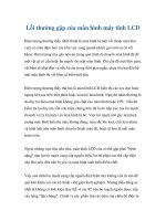 Lỗi thường gặp của màn hình máy tính LCD pdf