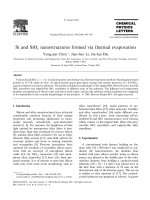 Si and siox nanostructures formed via thermal evaporation