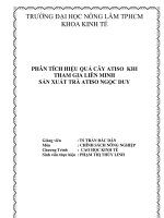 tieu luan phan tich hieu qua cay atiso