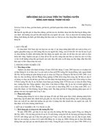 Biến động giá cà chua trên thị trường huyện Đông Anh ngoại thành Hà nội doc