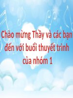 Bài tiểu luận: Hấp thụ khí SO3 bằng H2SO4 ppt