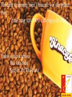 thuyết trình tái định vị thương hiệu vinacafe với sản phẩm mới “café rang xay100% café nguyên chất