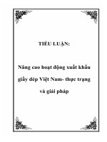 TIỂU LUẬN: Nâng cao hoạt động xuất khẩu giầy dép Việt Nam- thực trạng và giải pháp pot