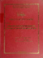 khóa luận tốt nghiệp chiến lược và mô hình kinh doanh của các công ty sản xuất phần mềm việt nam