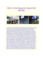 Đầu Tư Trên Mạng Cho Người Mới Bắt Đầu pptx