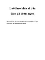 Lưỡi heo khìa xì dầu đậm đà thơm ngon pdf