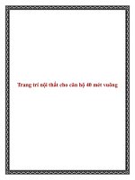 Trang trí nội thất cho căn hộ 40 mét vuông pptx