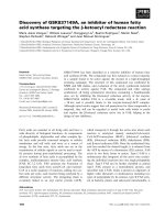 Báo cáo khoa học: Discovery of GSK837149A, an inhibitor of human fatty acid synthase targeting the b-ketoacyl reductase reaction pot