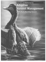U. S. Fish & Wildlife Service Adaptive Harvest Management 2000 Duck Hunting Season ppt