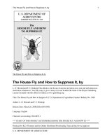 The House Fly and How to Suppress It pptx