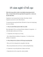 15 cảm nghĩ về bố cục docx