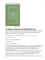 An Essay on Slavery and Abolitionism doc