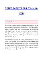 Chức năng và cấu trúc của gen ppt