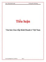 Tiểu luận: Văn hóa Giao tiếp Kinh Doanh ở Việt Nam potx